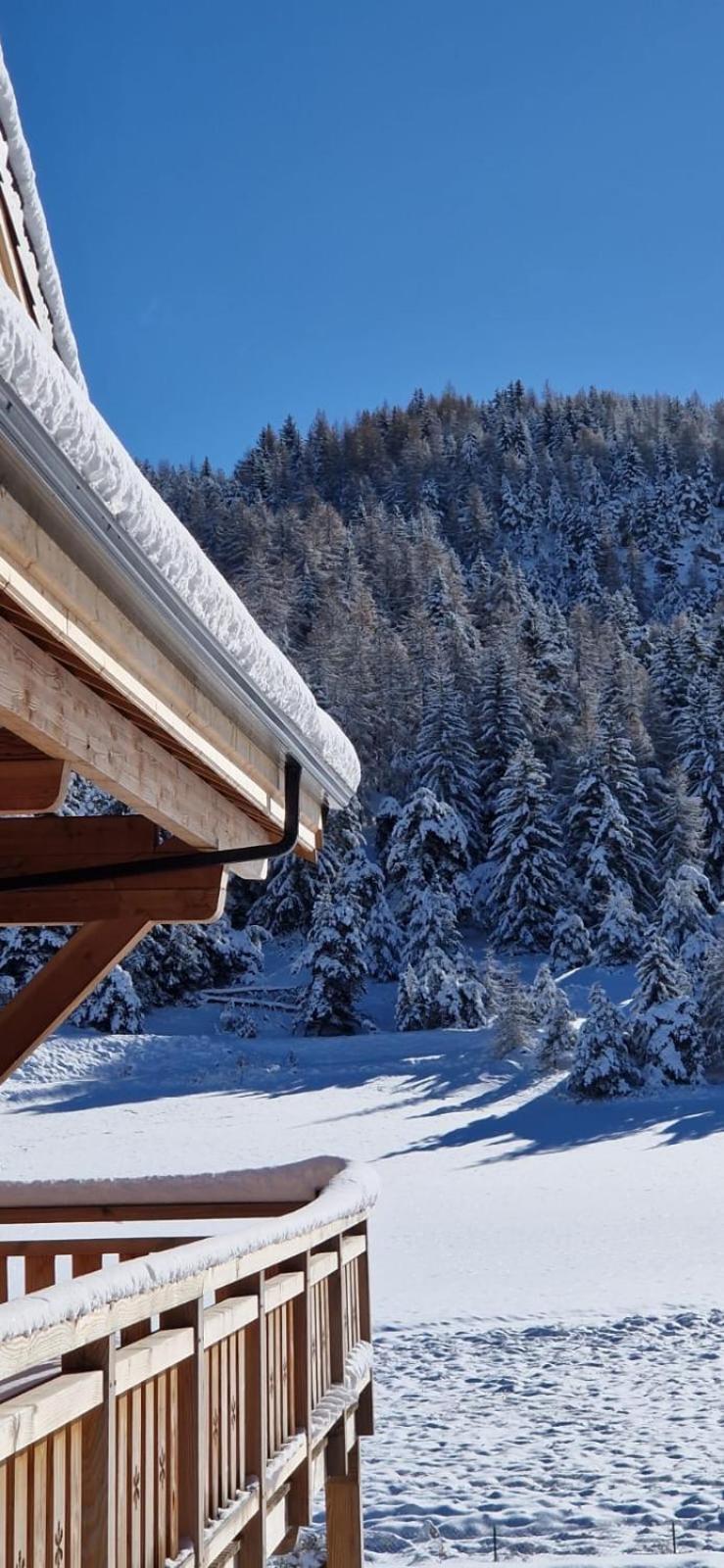 Appartement Lumineux Neuf Dans Bas De Chalet Le Douglas La Joue du Loup Dış mekan fotoğraf